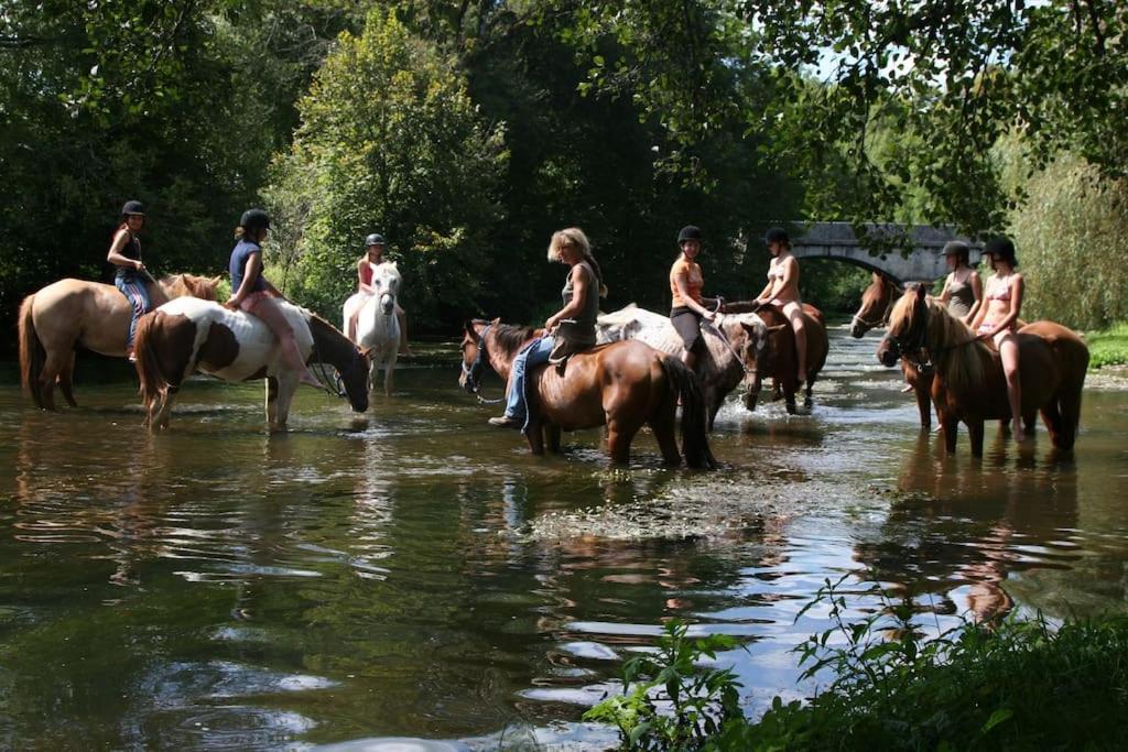 Serenite A La Ferme Equestre Lempzours 외부 사진